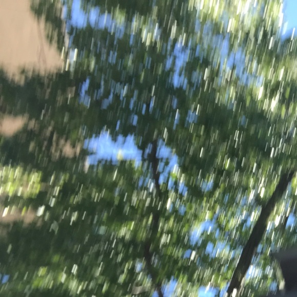 Meet your Posher, Kailee - Picture 1 of 1